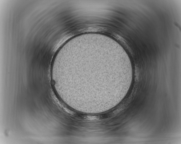 X0000099580794200806131317