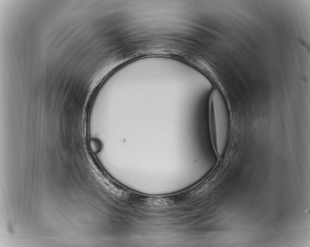 X0000099580795200806131317