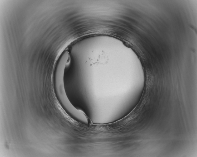 X0000099580796200806131317