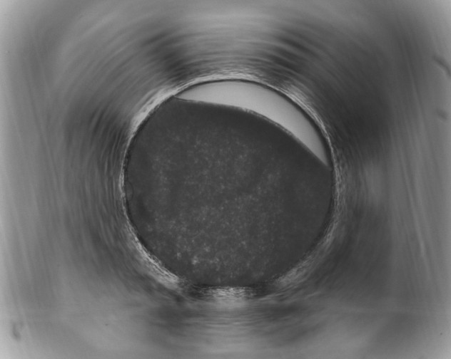 X0000099580797200806131317