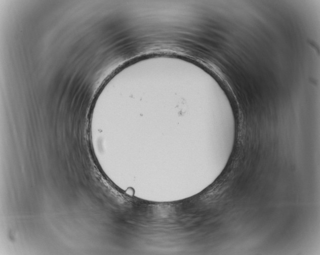 X0000099580799200806131317