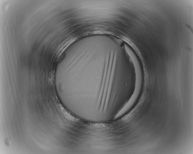 X0000099580801200806131317