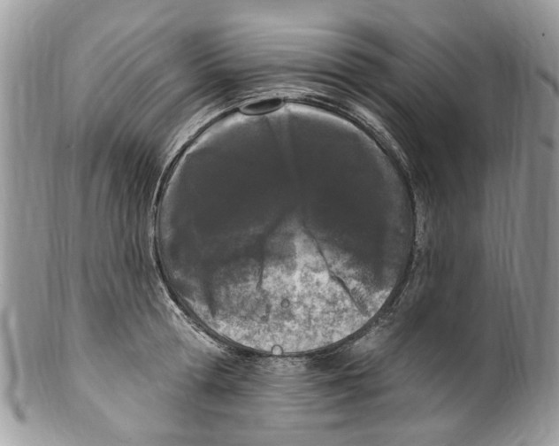 X0000099580802200806131317