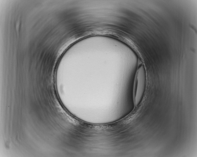 X0000099580803200806131317