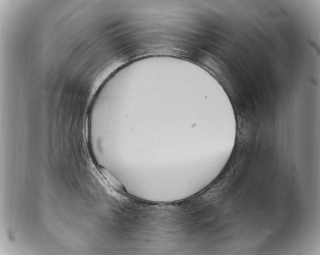 X0000099580804200806131317