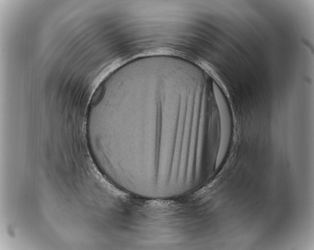 X0000099580805200806131317