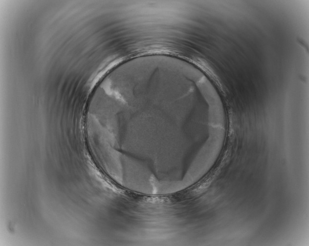 X0000099580806200806131317