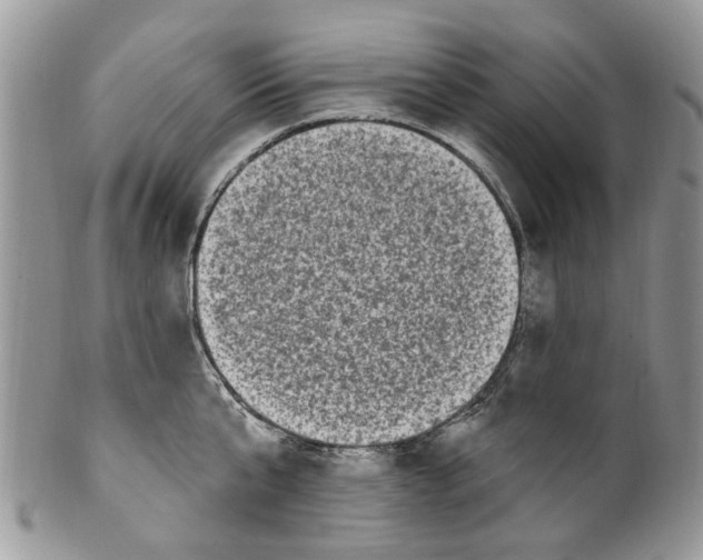 X0000099580807200806131317