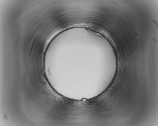 X0000099580808200806131317