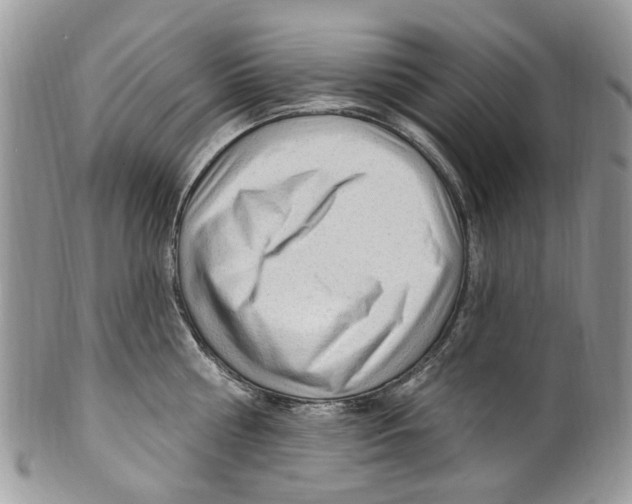 X0000099580810200806131317