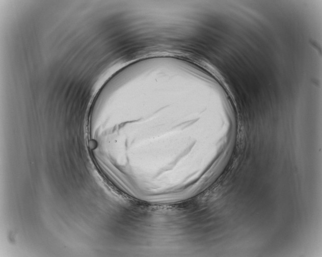 X0000099580811200806131317