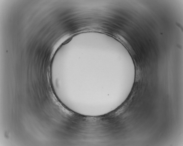 X0000099580812200806131317