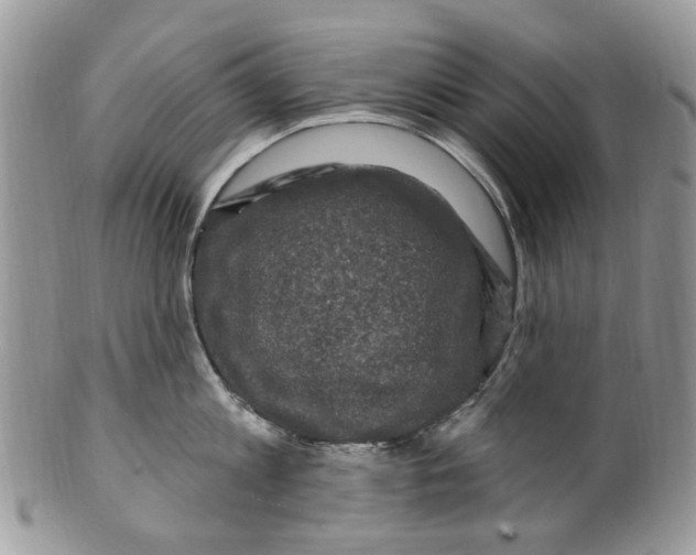 X0000099580813200806131317