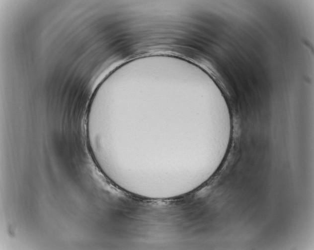 X0000099580814200806131317