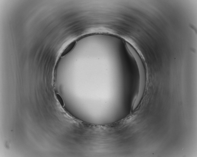 X0000099580815200806131317