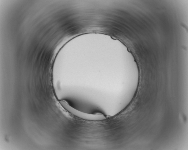 X0000099580816200806131317