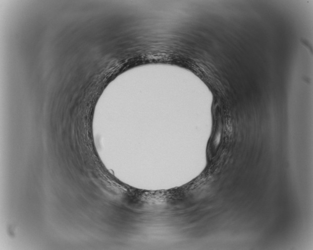 X0000099580817200806131316