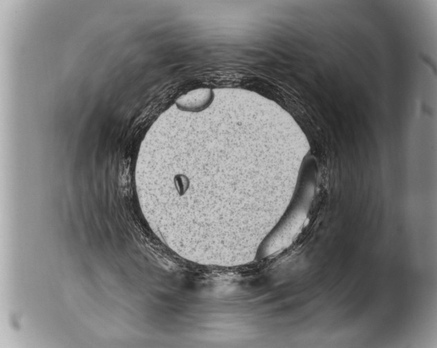 X0000099580818200806131316