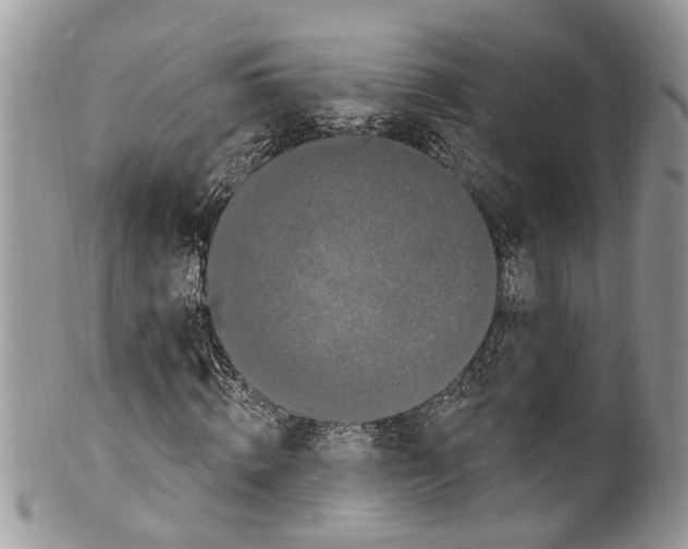 X0000099580820200806131316