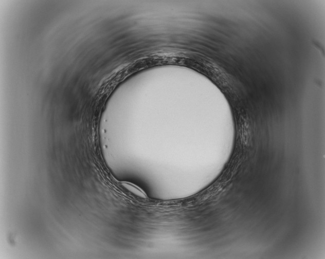 X0000099580821200806131316