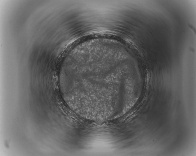 X0000099580822200806131316