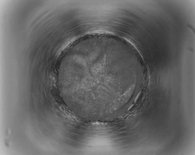 X0000099580823200806131316