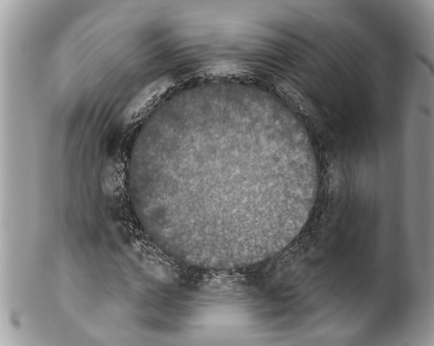 X0000099580824200806131316