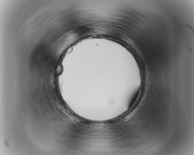 X0000099580826200806131316