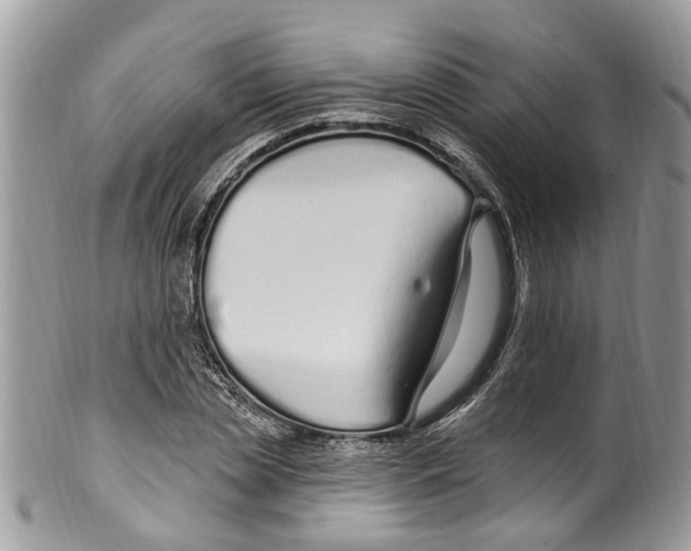 X0000099580829200806131316