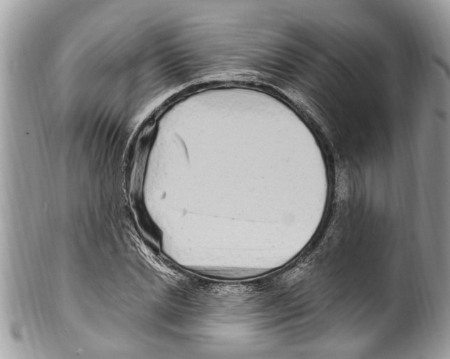 X0000099580830200806131316