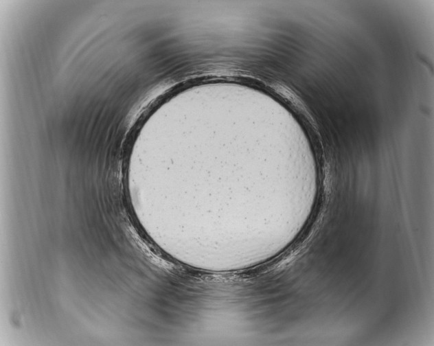 X0000099580831200806131316