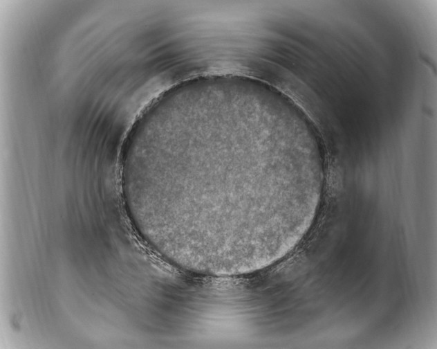 X0000099580832200806131316