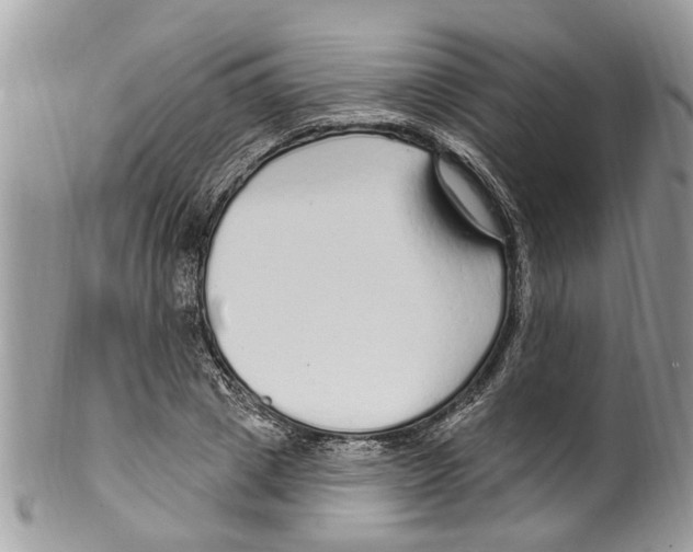 X0000099580833200806131316