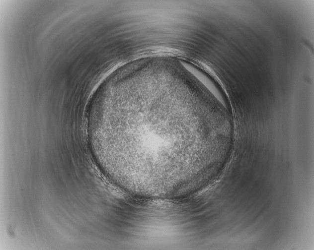 X0000099580835200806131316