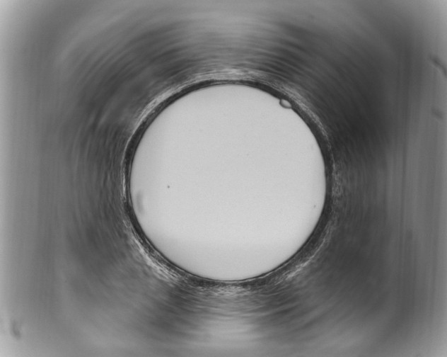 X0000099580837200806131316