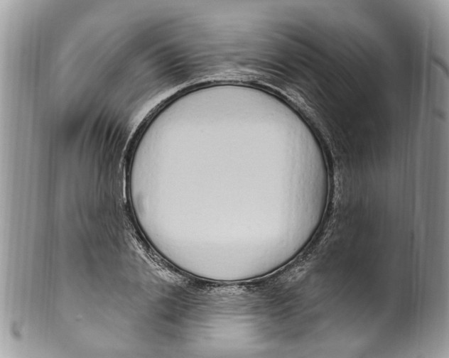 X0000099580838200806131316