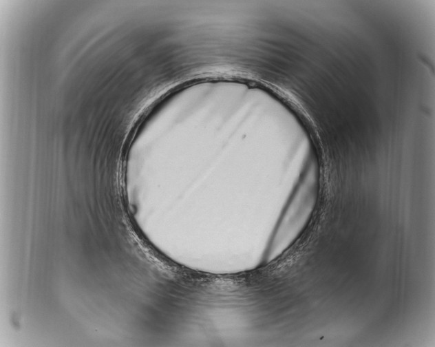 X0000099580839200806131316