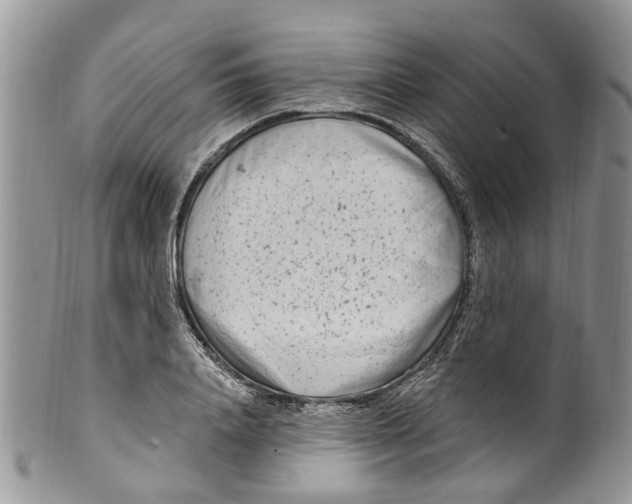 X0000099580840200806131316