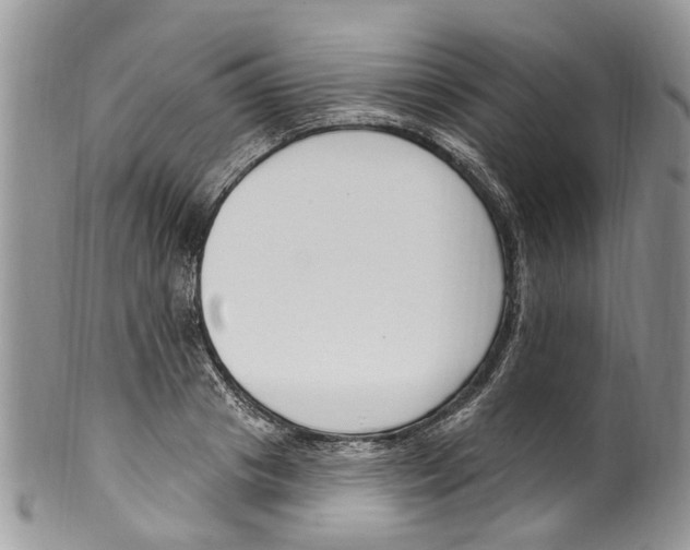 X0000099580841200806131316