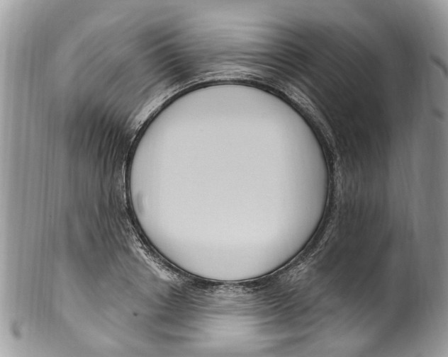 X0000099580842200806131316