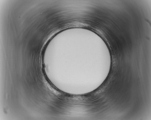 X0000099580843200806131316