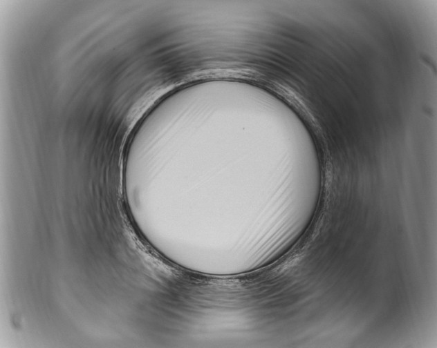 X0000099580844200806131316