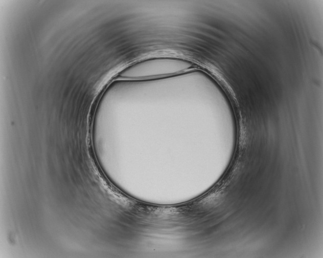 X0000099580845200806131316