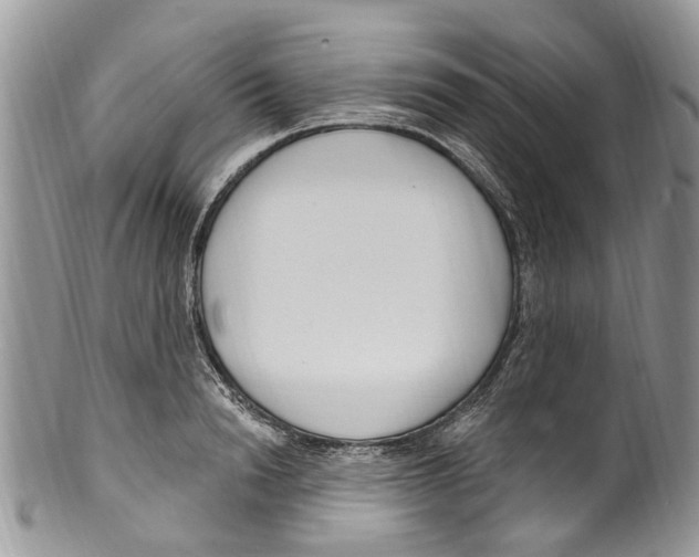 X0000099580846200806131316