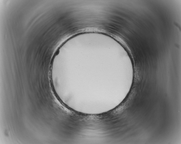 X0000099580847200806131316