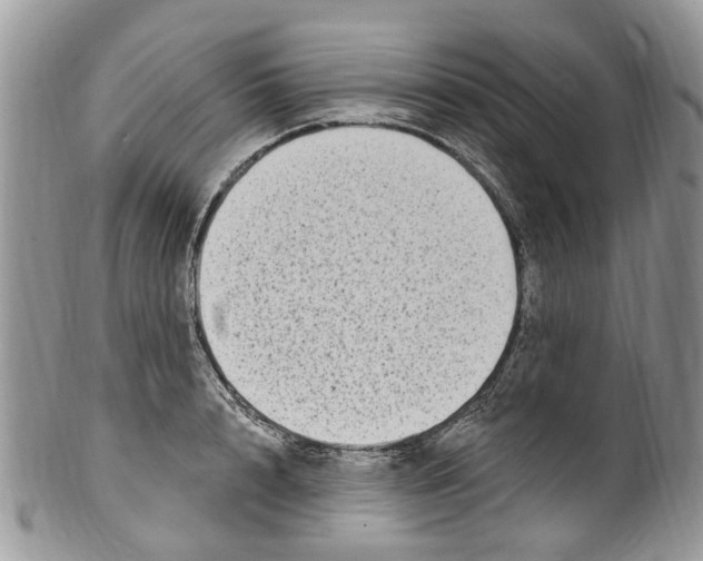 X0000099580848200806131316