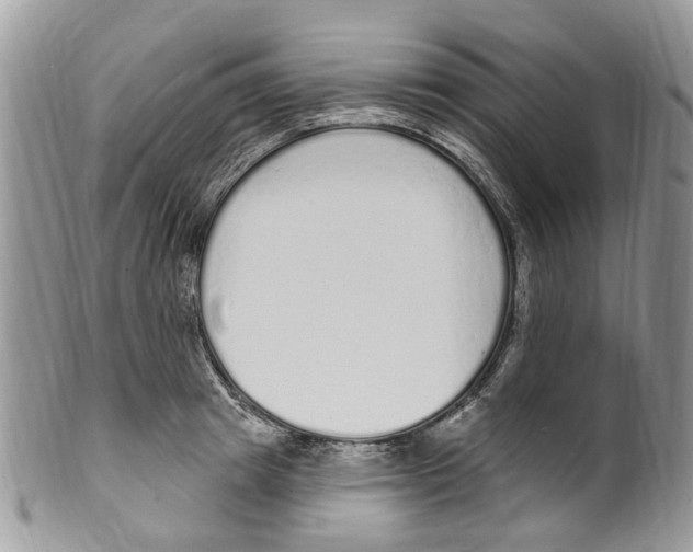 X0000099580849200806131316