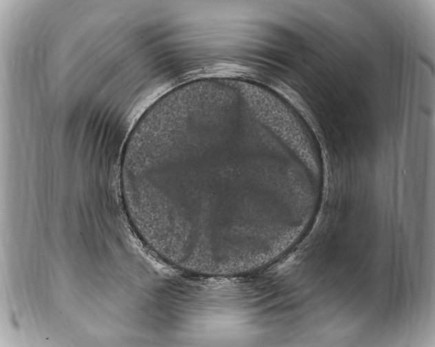 X0000099580850200806131316