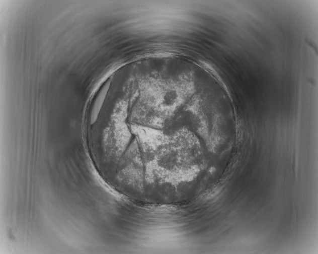 X0000099580851200806131316