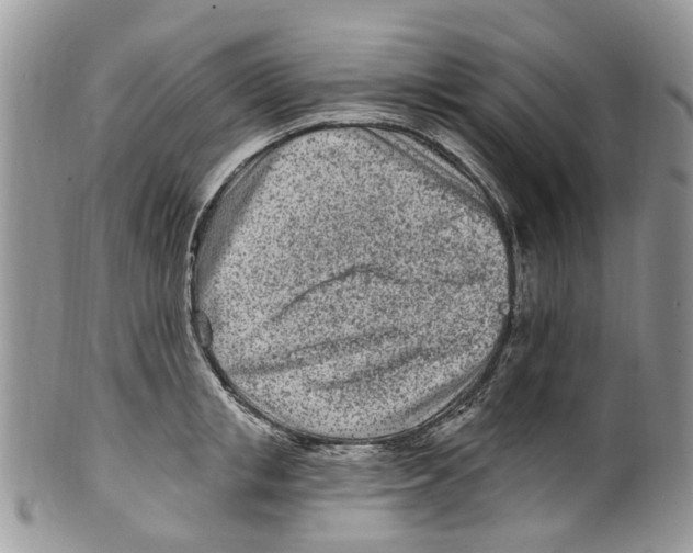 X0000099580853200806131316